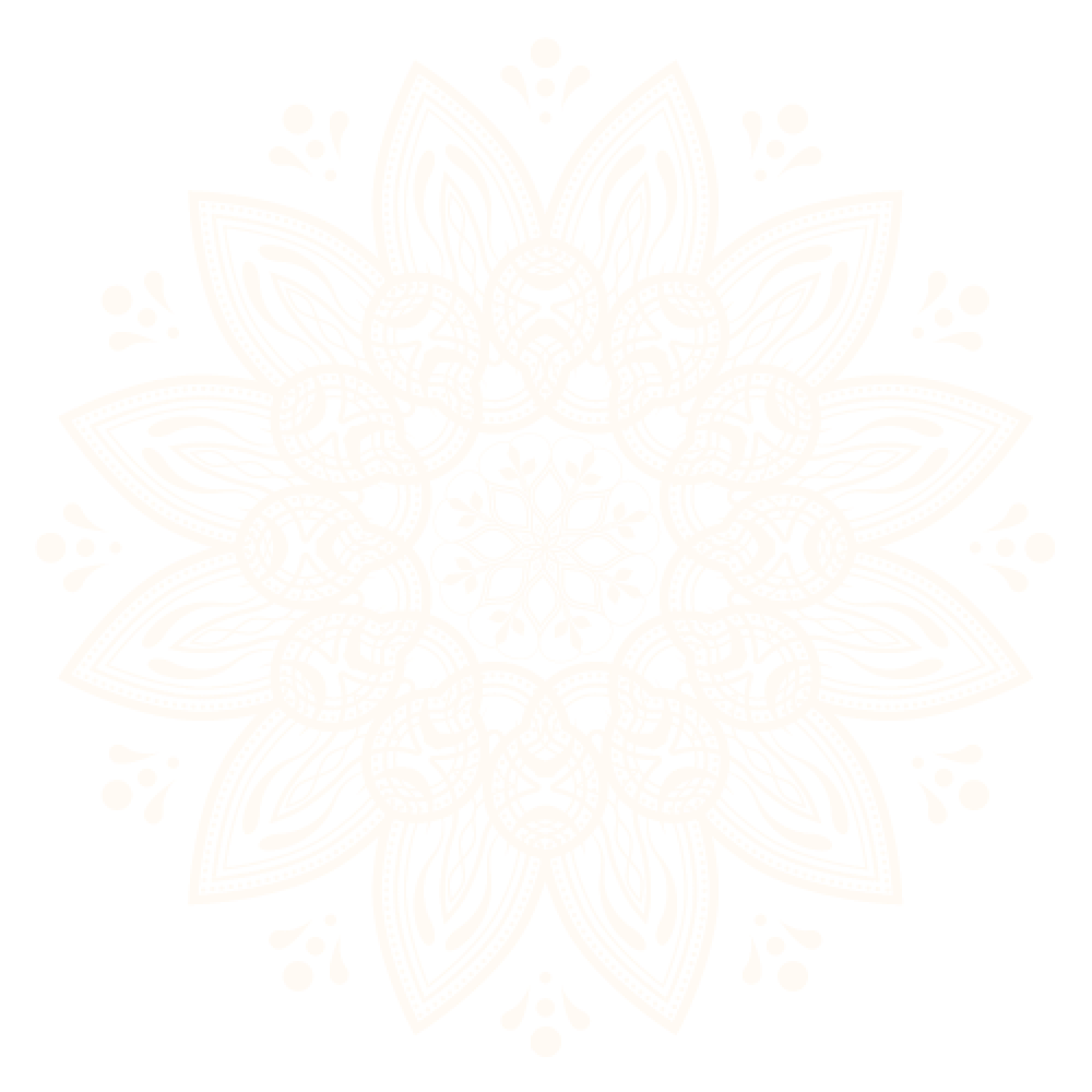 takeout service, Indian food takeout, Indian restaurant takeaway, North Indian food to go, Shaan Indian Cuisine takeout, Indian food Cincinnati